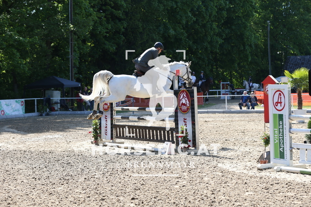DL2Q2418 | Willkommen bei Brunnmayr - Design & Fotografie – Ihrem Spezialisten für Reitturniere und Pferdeveranstaltungen in Oberösterreich, Salzburg und Bayern! Seit über 17 Jahren sind wir leidenschaftlich dabei.