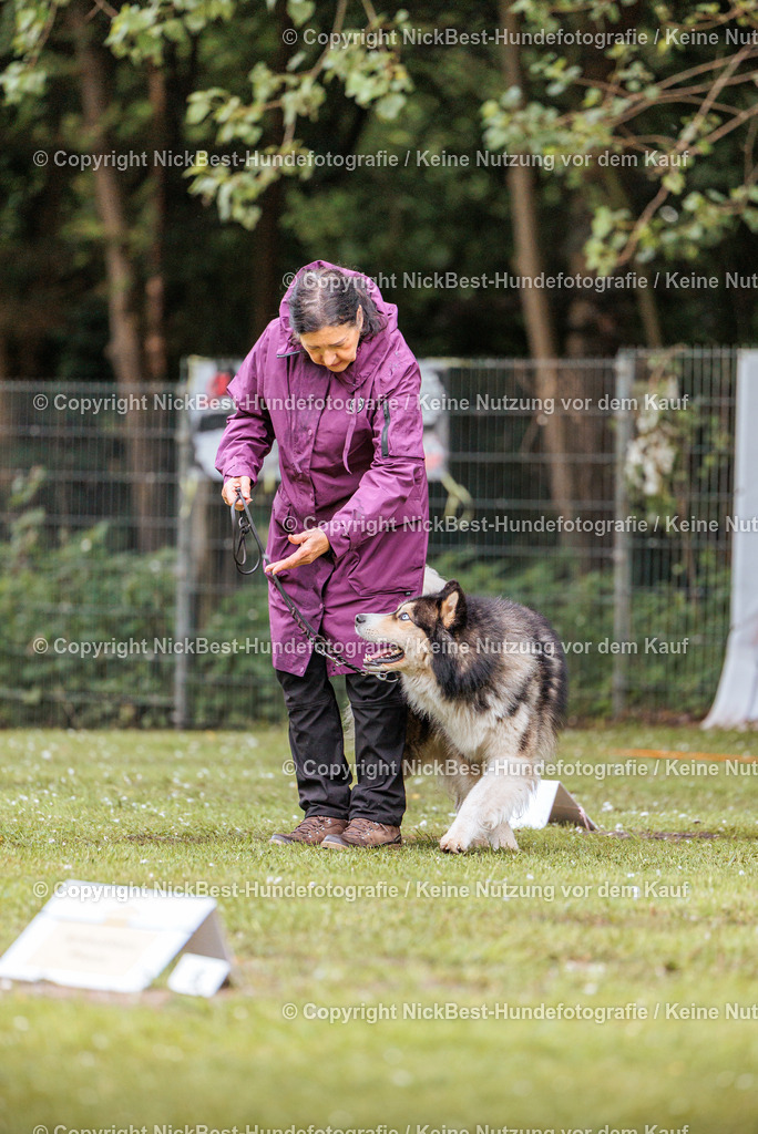 RO-Blumenthal-2026-Nickbest-Hundefotografie-0812 | Dein Hund! Dein Moment! Deine Erinnerungen! Hundefotografie in Bremen Blumenthal. Ich fange die besonderen Momente deines Vierbeiners ein – ob Indoor mit Blitzanlage oder in der freien Natur. Sicher dir dein Moment und dein Termin für eure Erinnerungen.