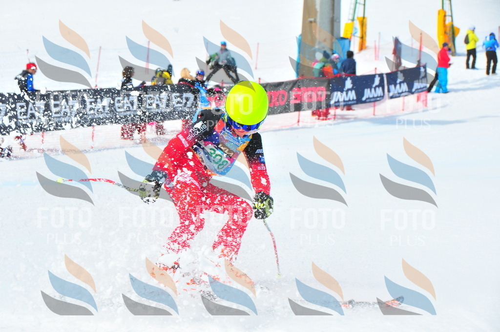 DSC_2849 | holidayphoto