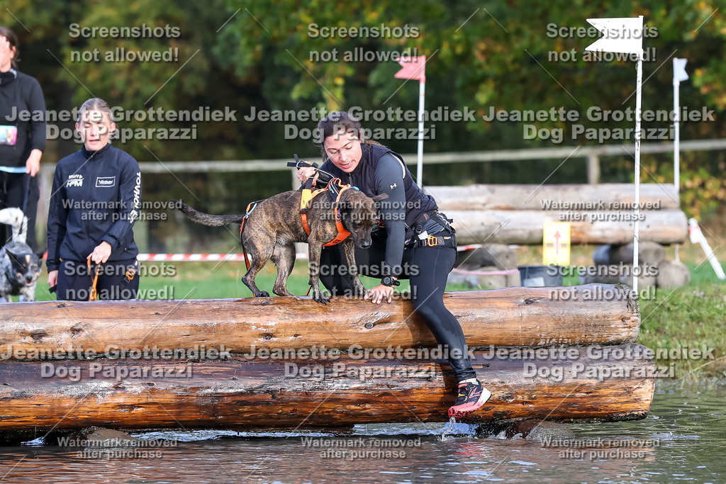 Dog Paparazzi - Strongdog 10-25-8250 | Dog Paparazzi Jeanette Grottendiek Fotografie & Videografie - Realisiert mit Pictrs.com