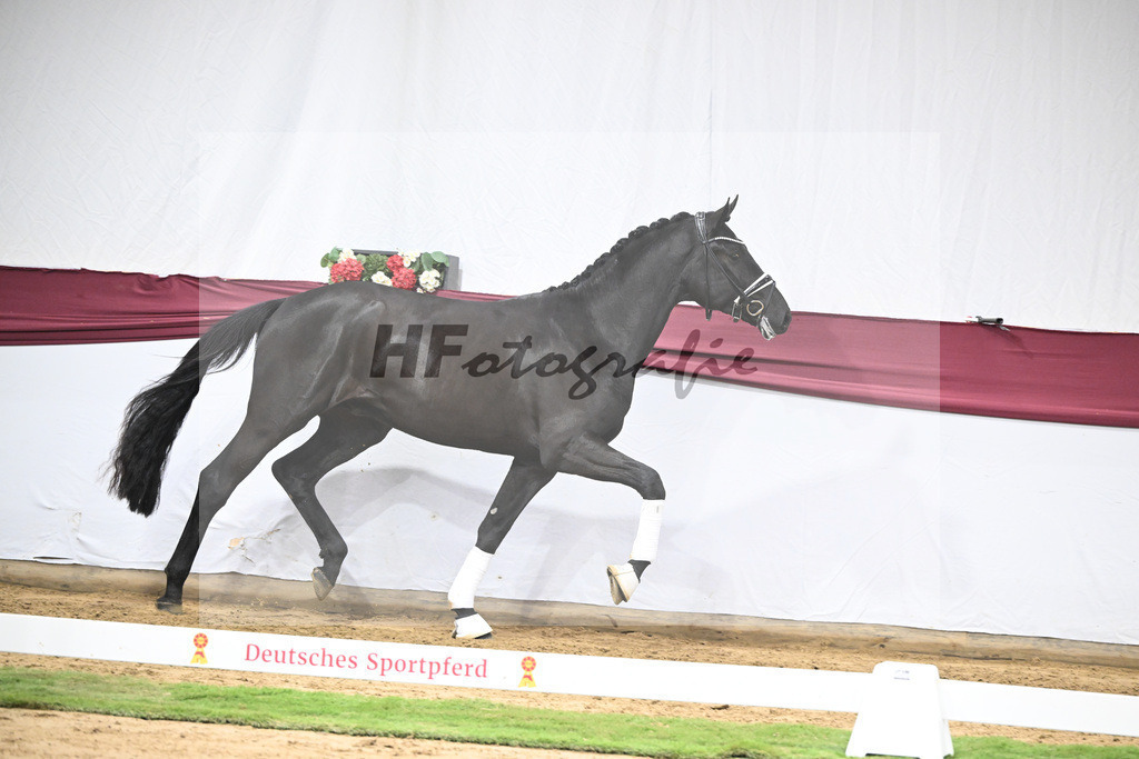 Kat-Nr. 39 Secret x Finest_Ignaz Berger_47251386 | hf-fotografie - Realisiert mit Pictrs.com