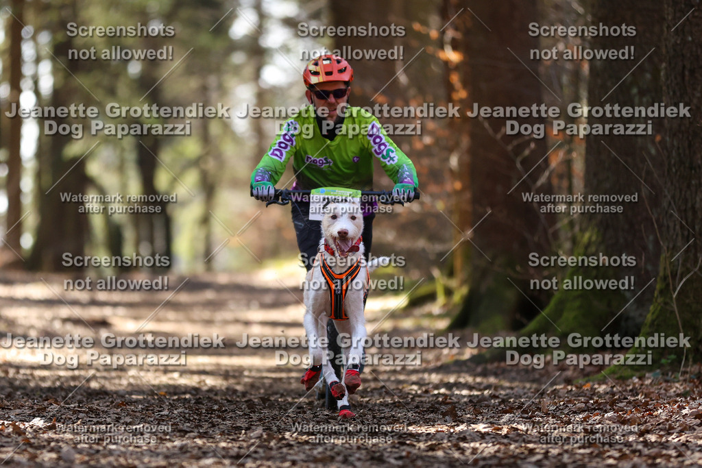 Dog Paparazzi - VCC26-1347 | Dog Paparazzi Jeanette Grottendiek Fotografie & Videografie - Realisiert mit Pictrs.com