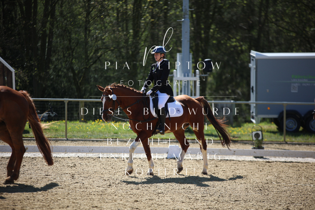 IMGT0463 | pl-fotografie