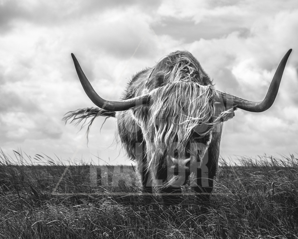 DSCF0993-2 | jasonraizor - Realisiert mit Pictrs.com