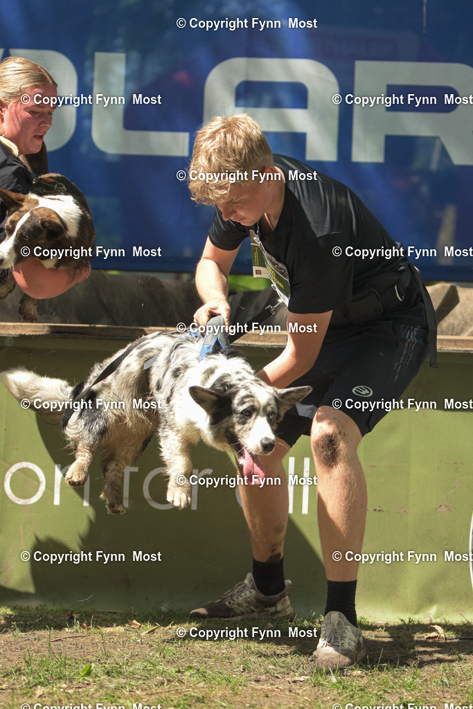 DSC_0040 | Hallo und herzlich Willkommen auf meiner Shop-Seite Fynn Most.

Ich wünsche Dir viel Spaß beim stöbern durch die Bilder, wenn Du Fragen hast oder Bilder vermisst, kannst du mir gerne eine Nachricht schreiben. - Realisiert mit Pictrs.com