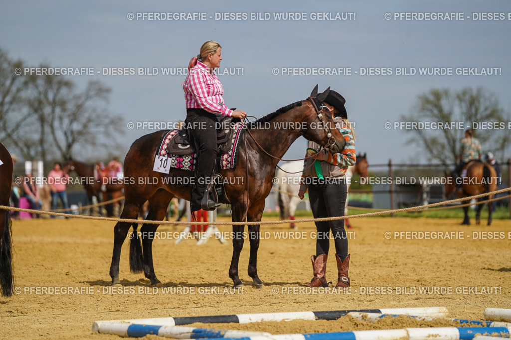 DSC04282 | Pferdegrafie