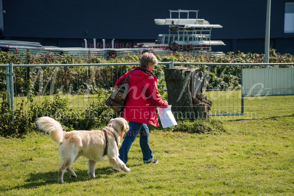 20250928_Hunderennen-764 | MuT (Mensch und Tier) mit Mona - Fotografie und Tierkommunikation - Realisiert mit Pictrs.com