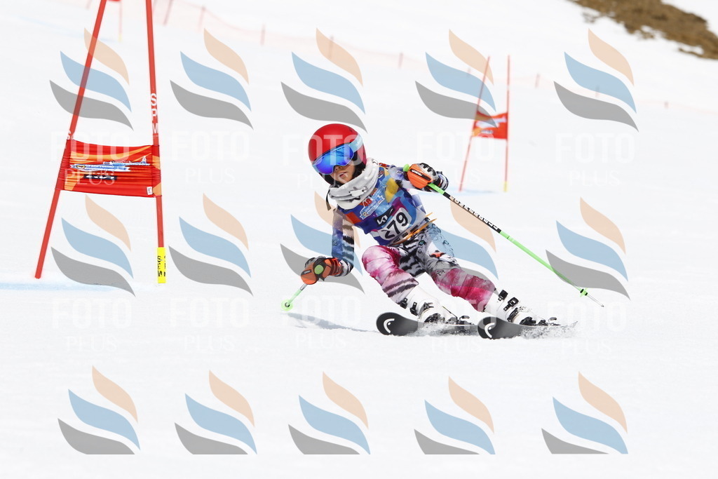 _U3G7001 | holidayphoto