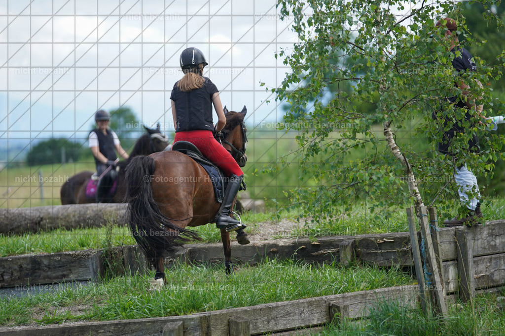 20240622-FAH07396 | Turnierfotografen Bayern, Reitsportbilder aus dem Geländekurs mit Felix Etzel auf dem Gut Waitzacker 2024
