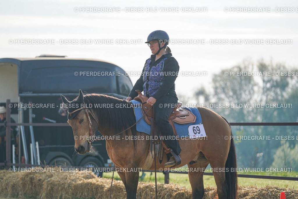 DSC00624 | Pferdegrafie