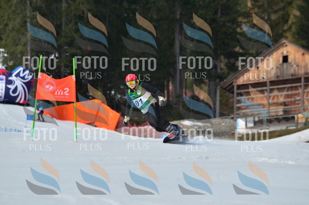 B2058 | holidayphoto