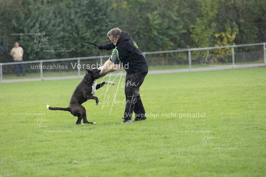 _16A7163 | Einzigartige Fotos von Hunden & Menschen –Actionfotos, Portraits, Vereinsaufnahmen & Paarshootings – authentisch, lebendig & mit Herz.