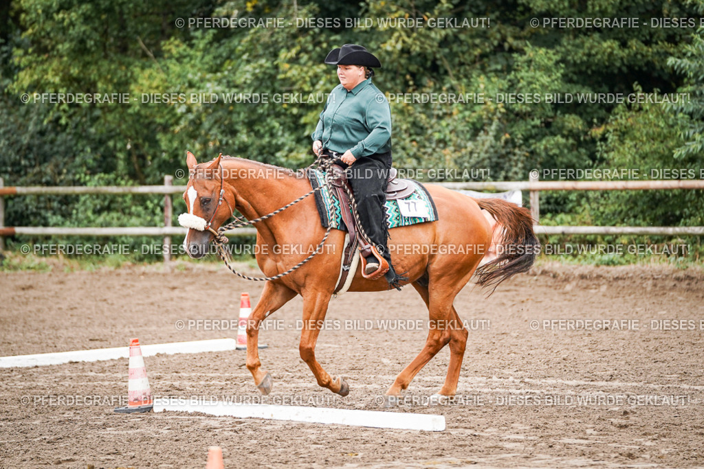 DSC02871 | Pferdegrafie