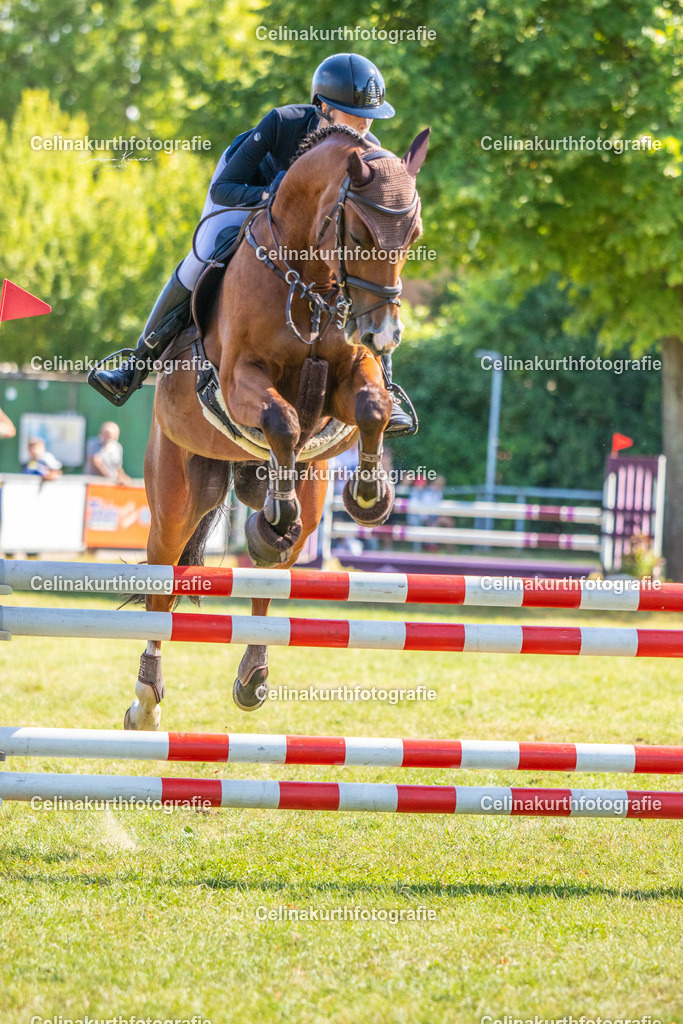 IMG_1771 | Celinakurthfotografie - Realisiert mit Pictrs.com