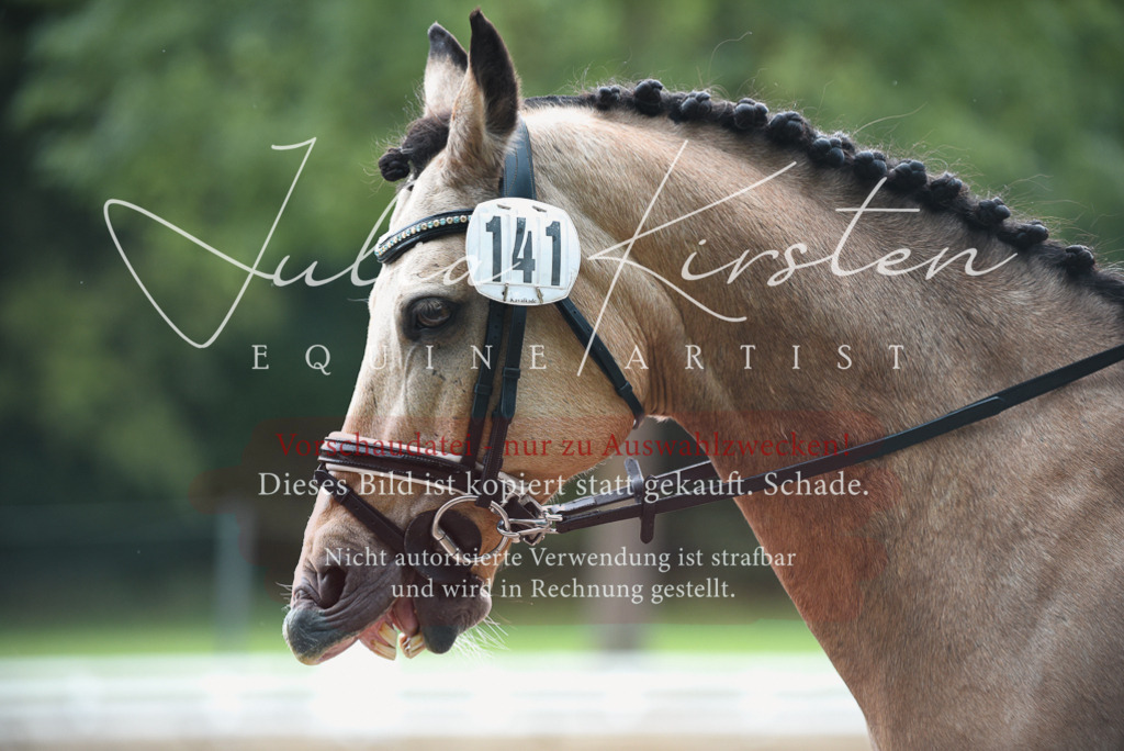 DSC_0085 | Pferde- und Turnierfotografie in Westsachsen. Pferdeportraits, Auftragszeichnungen und intuitive Kunst.