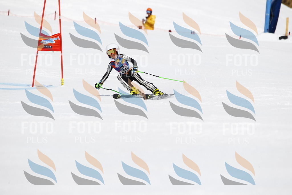 _U3G6313 | holidayphoto