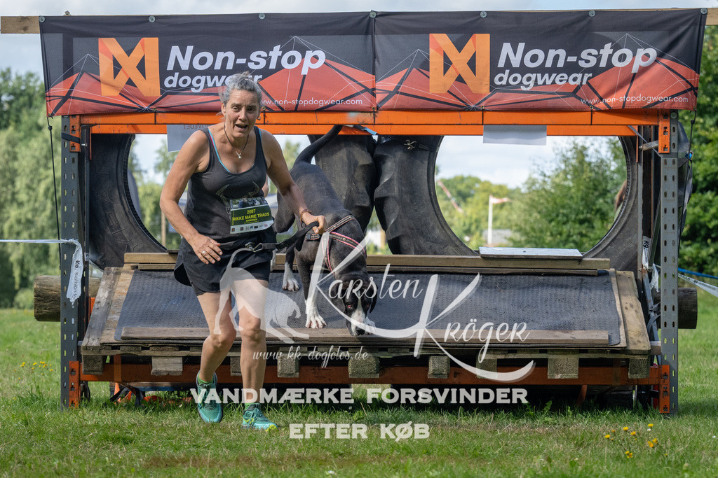 1550_ZZ94483 | kk-dogfotos