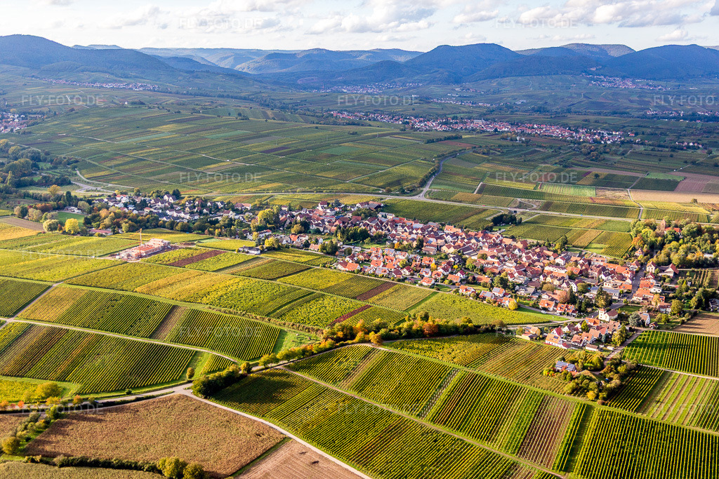 Luftbild: Herbstliche verfärbte Vegetationsansicht Weinbergen in Wollmesheim im Ortsteil Wollmesheim in Landau im Bundesland Rheinland-Pfalz in Deutschland. Foto: IMG_074600.jpg vom 14.10.2014 durch Werner Riehm/FLY-FOTO.de