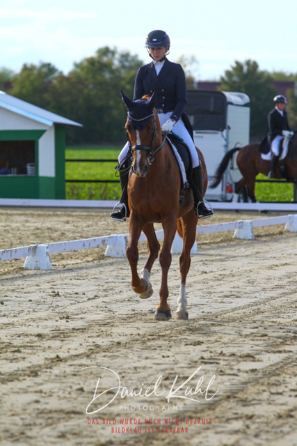 DKP45667 | Turniersportfotografie; Pferdefotografie; Dressurfotografie