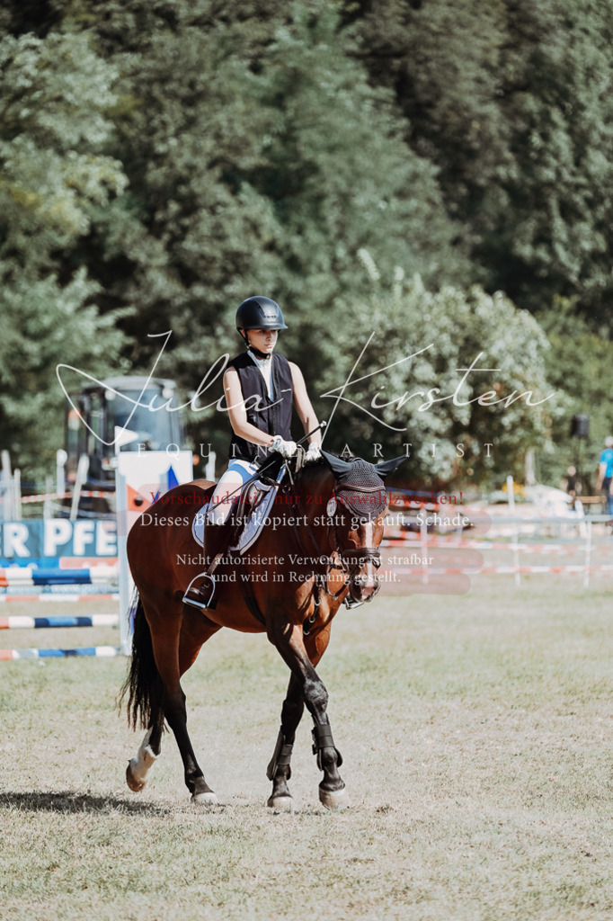 DSC_9565 | Pferde- und Turnierfotografie in Westsachsen. Pferdeportraits, Auftragszeichnungen und intuitive Kunst.