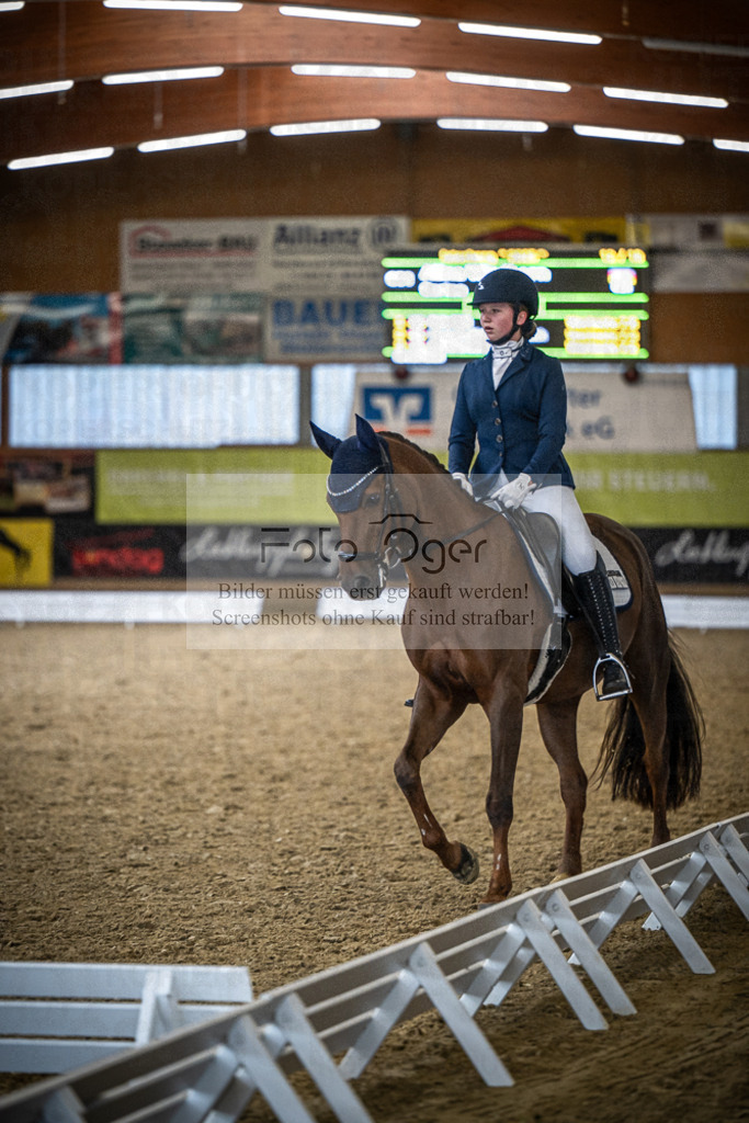 DOS_2197 | Entdecke hochwertige Reitturnierfotos von Foto Oger. Professionell, emotional und authentisch – jetzt Lieblingsmomente im Shop bestellen.Deutschlandweite Turnierfotografie. - Realisiert mit Pictrs.com