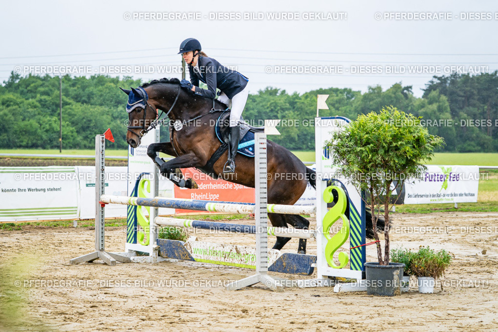 DSC02505 | Pferdegrafie