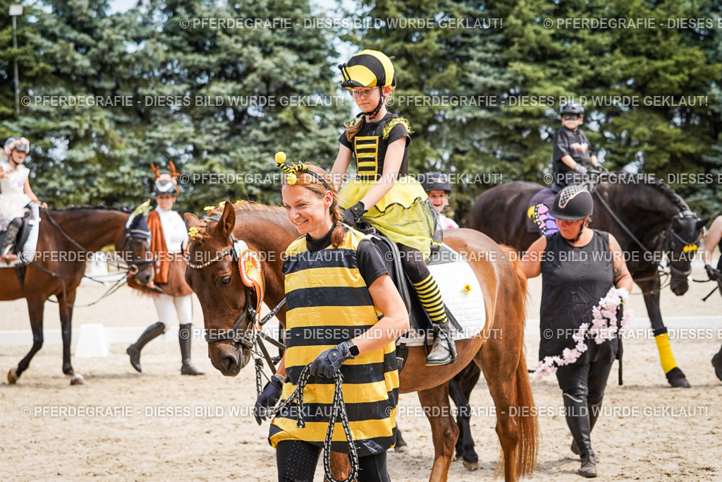 DSC03244 | Pferdegrafie