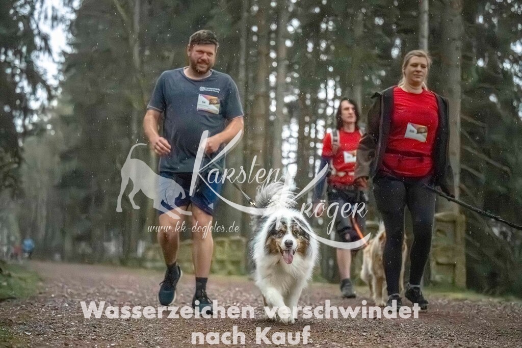 0834_ZZ92057 | kk-dogfotos