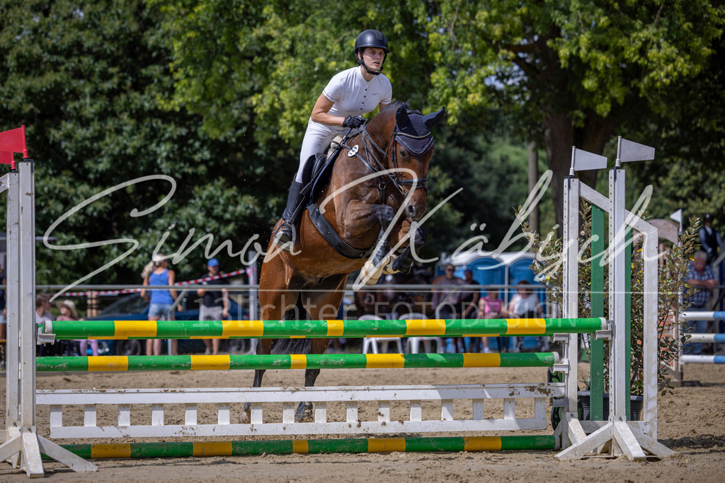 20260704-_3LI0445 | Tierfotografie Pferde, Hunde, Katzen, Haustiere.
Turnierfotografie Reitturniere, Reiten, Springreiten, Dressur in Hanau, dem Main-Kinzig-Kreis und dem Rhein-Main- Gebiet um Frankfurt