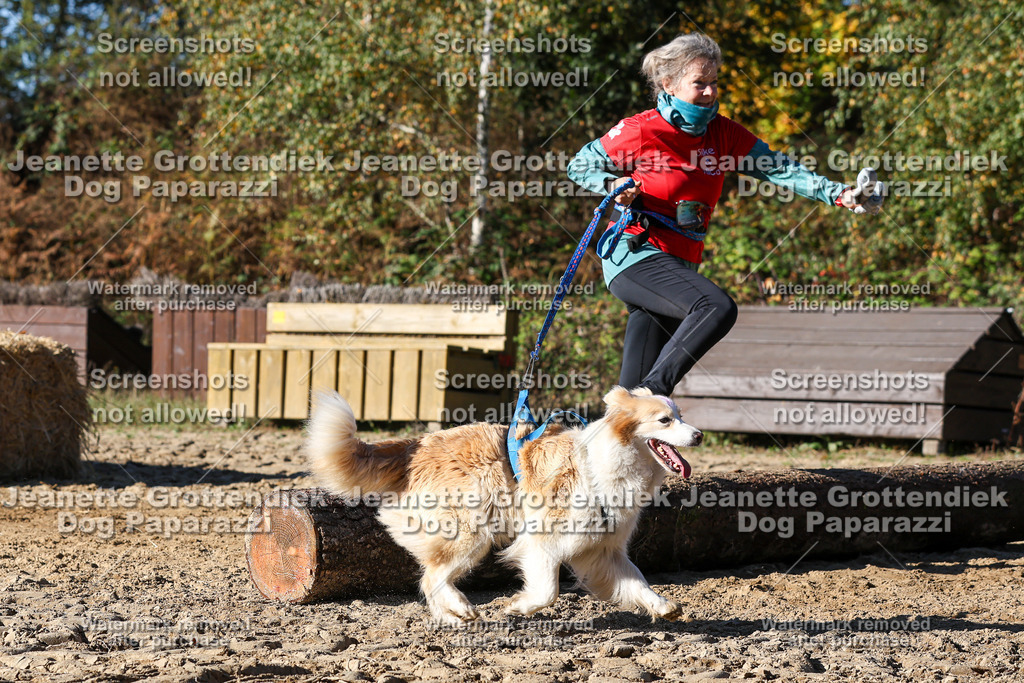 Dog Paparazzi - Strongdog 10-25-2529 | Dog Paparazzi Jeanette Grottendiek Fotografie & Videografie - Realisiert mit Pictrs.com