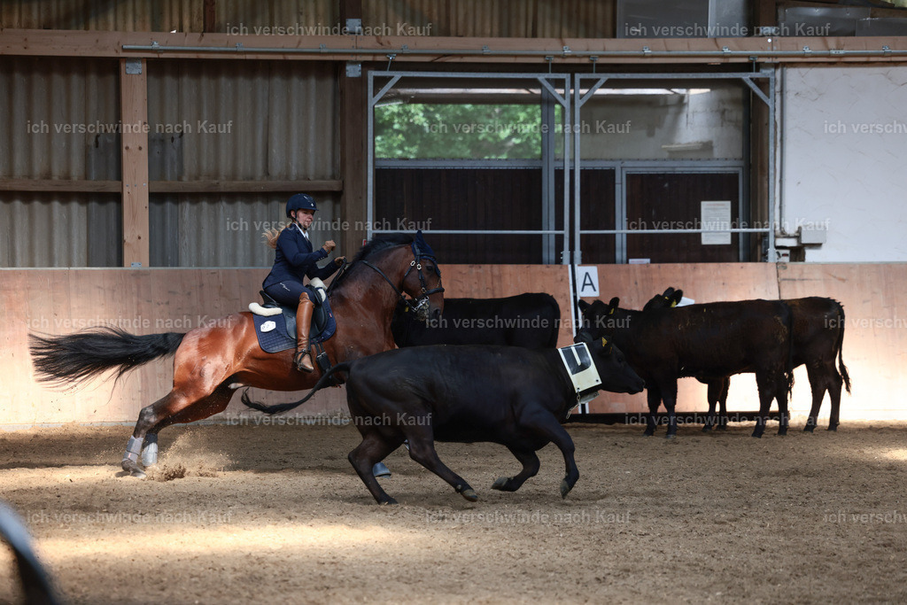 Masterclass_stoibphotography_C2_L7391.JPG | working equitationturnier fotograf videograf stoibphotography marixx film working equitation deutschland reitsport turnierfotografie eventfotografie equestrian events