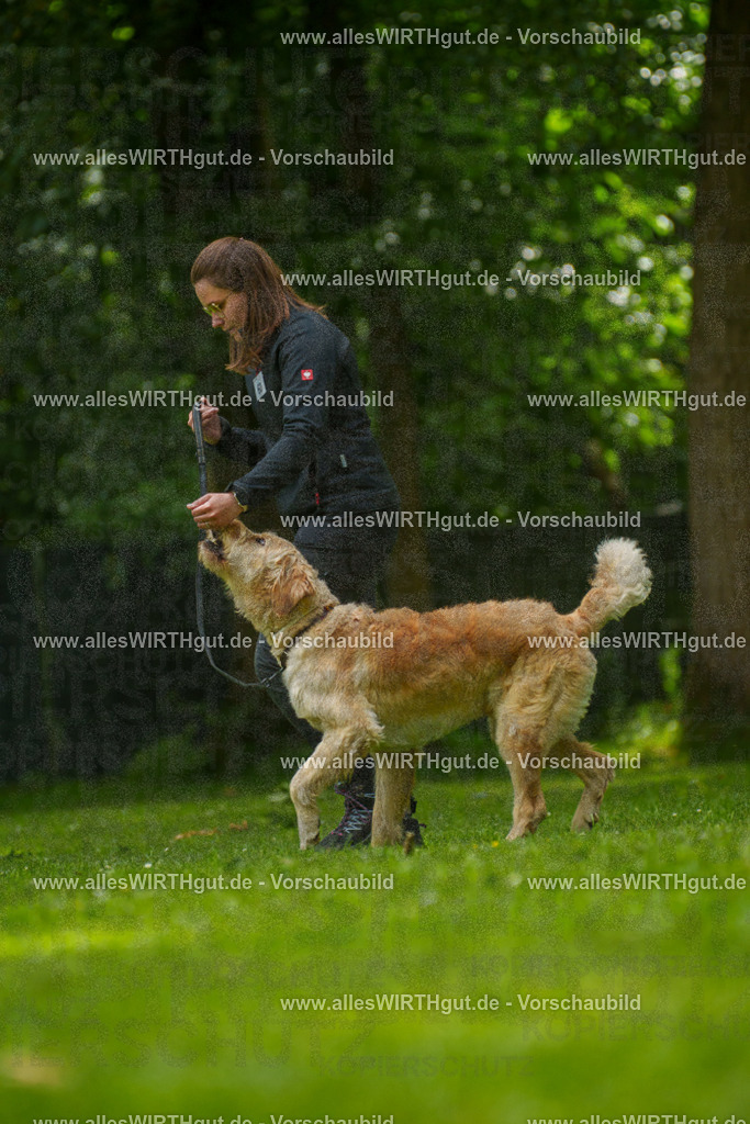 @allesWIRTHgut_Tierfotografie - www.allesWIRTHgut.de - 7R501539 | Professionelle Tierfotografie in Mönchengladbach von Daniel Wirth (allesWIRTHgut). Liebevolle & natürliche Bilder von Hunden & Katzen für unvergessliche Erinnerungen.