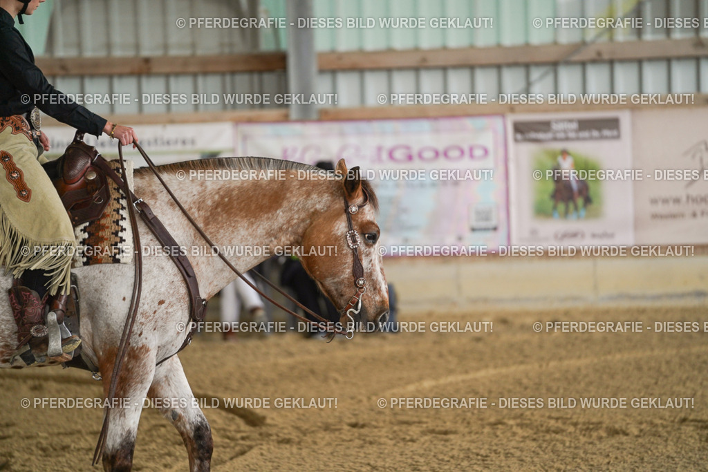 DSC06393 | Pferdegrafie