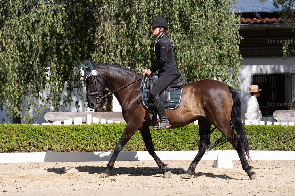 WA_DR_12_SinaFilmArt_IN01513 | working equitationturnier fotograf videograf stoibphotography marixx film working equitation deutschland reitsport turnierfotografie eventfotografie equestrian events