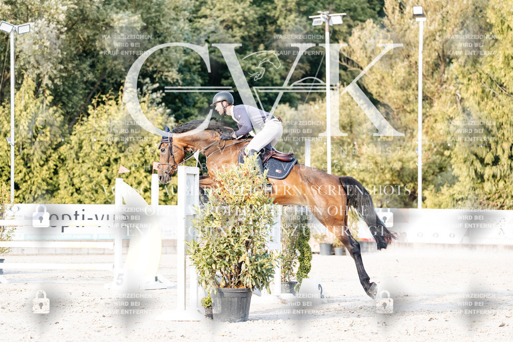 CK903621 | Turnierfotografie Pferdefotografie Trier Rheinland-Pfalz Pferdesport Reitsport Tierfotografie Sportfotografie Pferdevideo Pferdevideografie Equestrianvideography equestrianphotography  - Realisiert mit Pictrs.com