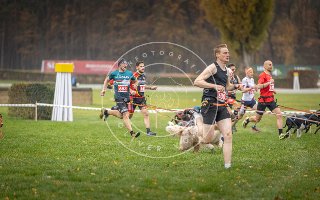 CaniXpix_DV3A9496 | Hundefotografie, Tierfotograf, Pfotenfotografie, Fotoshooting Hund, Hunde Portrait, Hundesport, Hundeportraits, Heideshooting, Hunde, Sportfotograf, Hundefotograf, Turnierhundsport, THS,  - Realisiert mit Pictrs.com