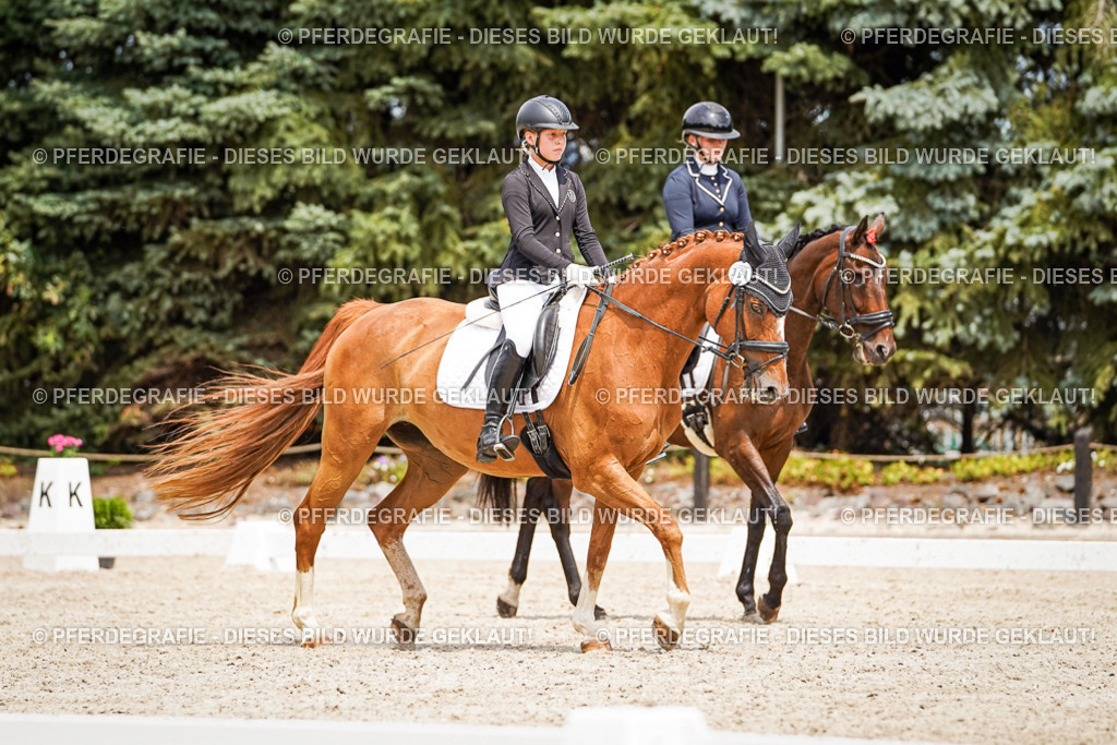 DSC03923 | Pferdegrafie