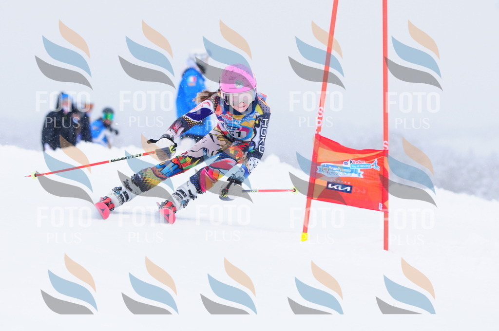 C3751 | holidayphoto