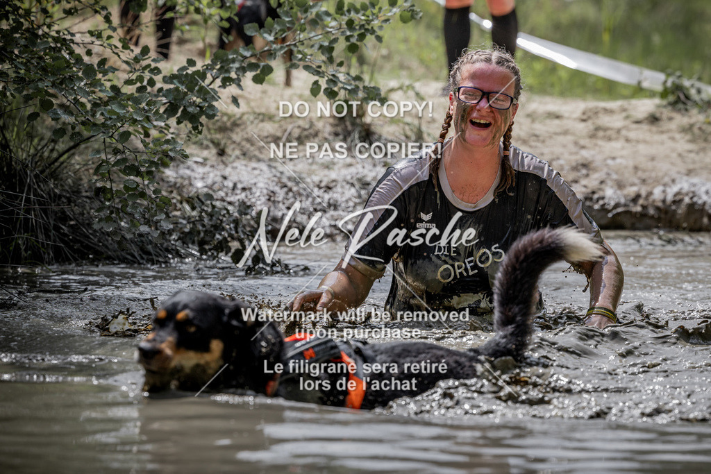 nelerasche_so1145-1230_188 | nelerasche