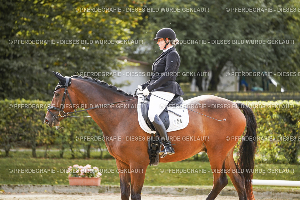 DSC09292 | Pferdegrafie