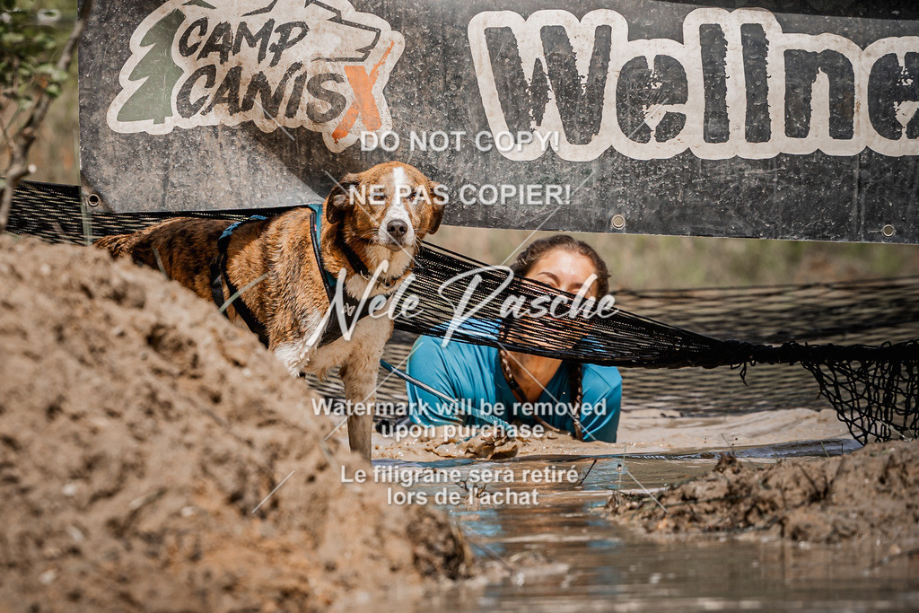 nelerasche_Hoope2026_Sa1200-1230_471 | nelerasche