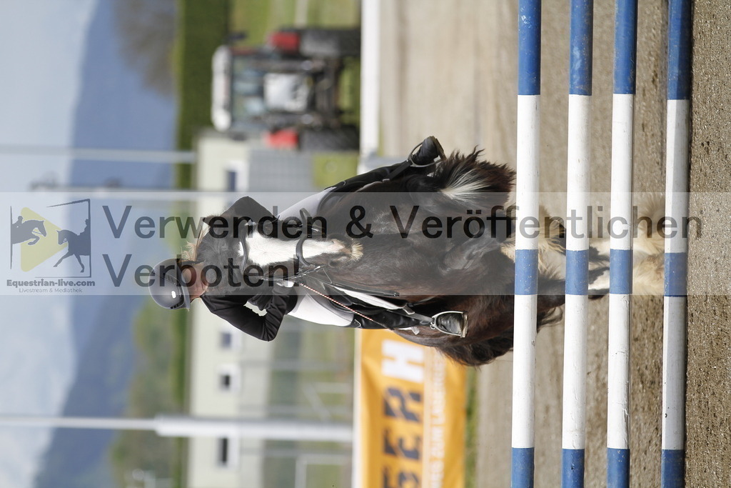 _MG_1224 | equestrian-live-com