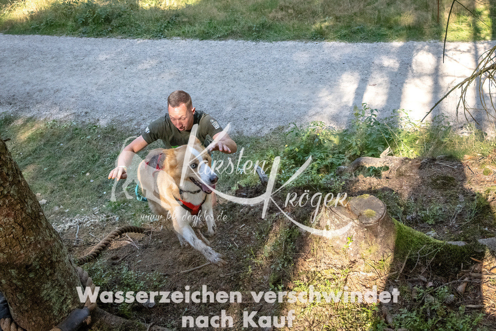1130_ZZ90687 | kk-dogfotos