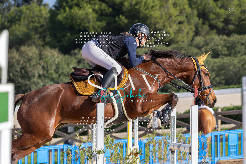 IMG_1614 | s-jay-photography - Realisiert mit Pictrs.com