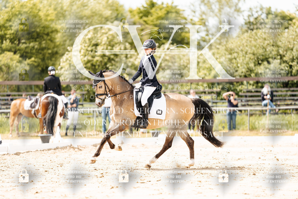 CK901828 | Turnierfotografie Pferdefotografie Trier Rheinland-Pfalz Pferdesport Reitsport Tierfotografie Sportfotografie Pferdevideo Pferdevideografie Equestrianvideography equestrianphotography  - Realisiert mit Pictrs.com