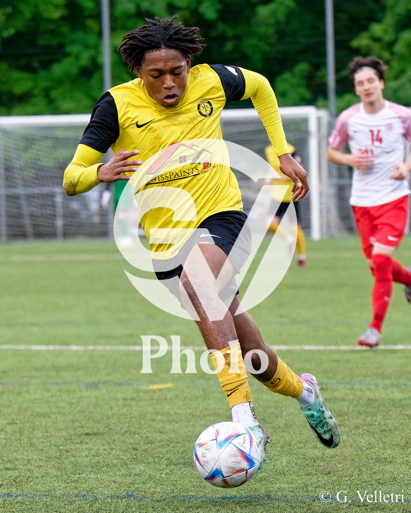 DSC_2061 | Velletri Photo