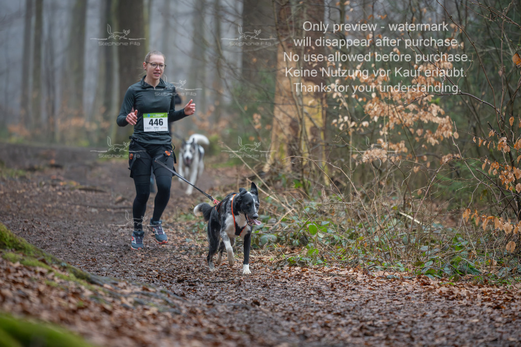 Canix_So-142 | stephaniefillaphotographie - Realisiert mit Pictrs.com