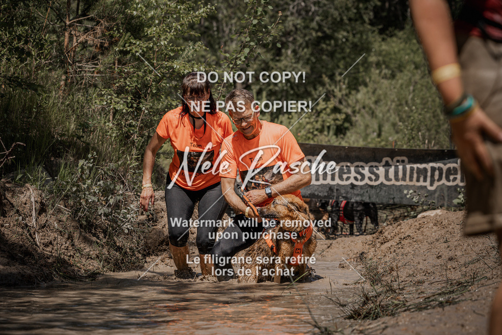 nelerasche_Hoope2026_Sa1300-1330_301 | nelerasche