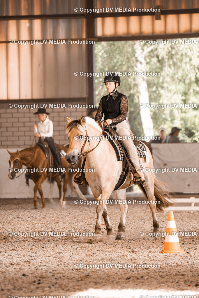 ZH100903 | dv-media-shop - Realisiert mit Pictrs.com