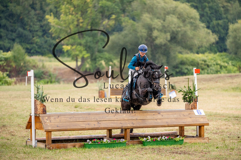 A7V09986 | Pferdefotograf